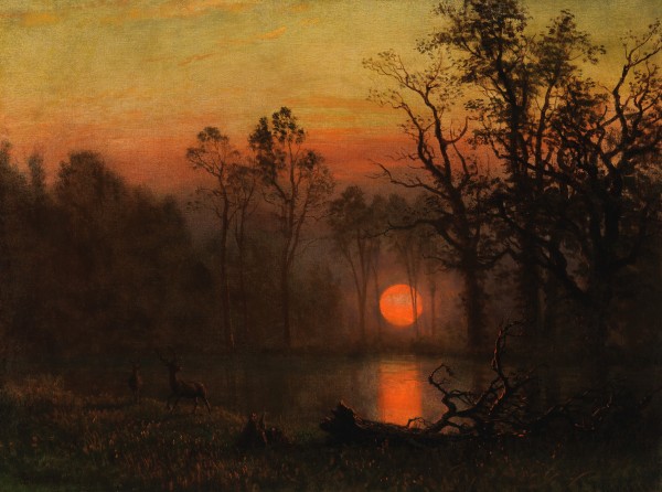 Sunset Over the Plains by Albert Bierstadt
